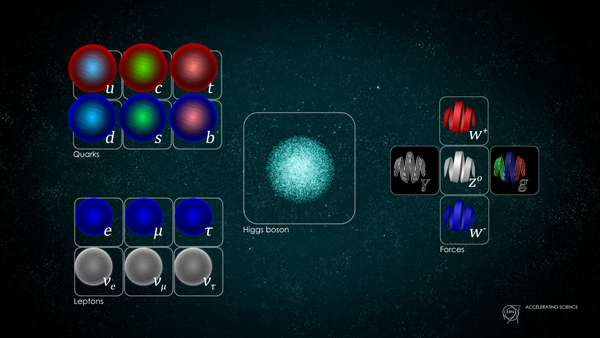 Technical foundation for a muon collider laid at J-PARC